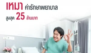 ประกันชีวิต ประกันวินาศภัย AIA ตัวแทนประกัน มด เพรสทีจ ประกันสุขภาพ ประกันทรัพย์สิน ประกันรายได้ ประกันลงทุน ประกันออมทรัพย์ ประกันเงินฝาก